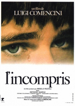 poster L'incompris&nbsp;&nbsp;(1966)